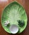 1990s The Mane Lion- Italian Faience Lily Pad/Frog Platter For Sale - Image 5 of 9