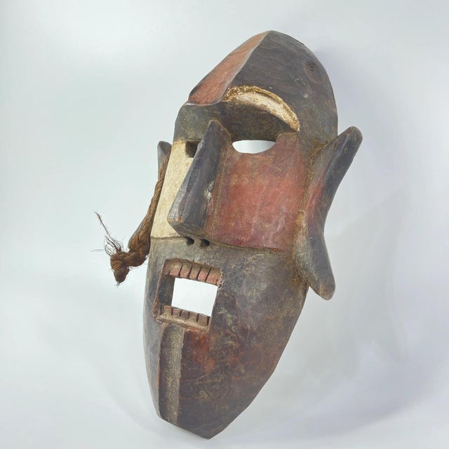 Early 20th Century Boa Mask For Sale - Image 4 of 6