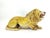 Hollywood Regency Italian Glazed Terracotta Lion Sculpture, 1960s For Sale - Image 3 of 11