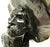 American 1980s Bronze Bust of the Sergeant After Frederick Remington, American, 1861-1909 For Sale - Image 3 of 14