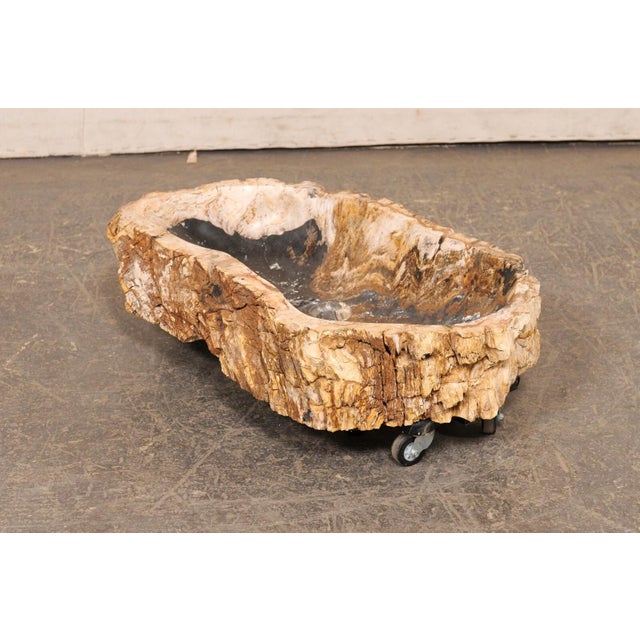 Black & Tan Petrified Wood Sink with Live Edge For Sale - Image 4 of 11