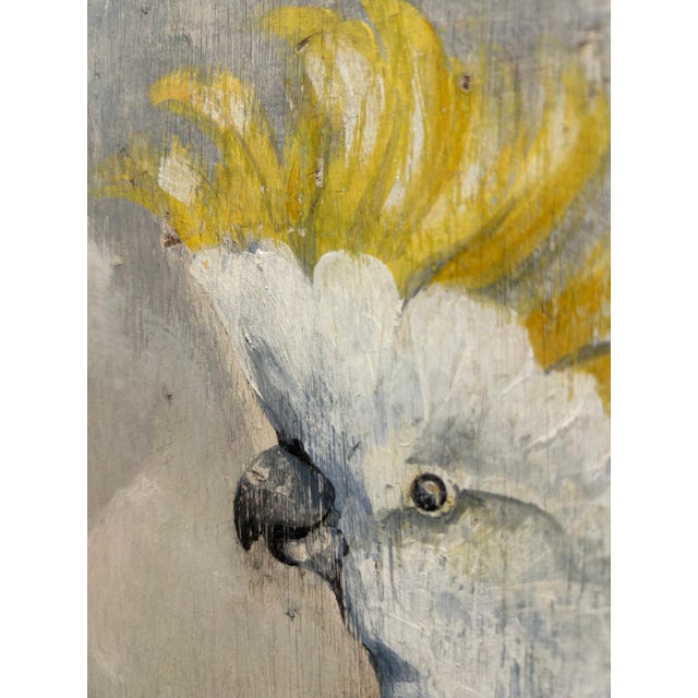 1950s Cockatoos, 1950s, Oil Paintings on Panel, Set of 2 For Sale - Image 5 of 9