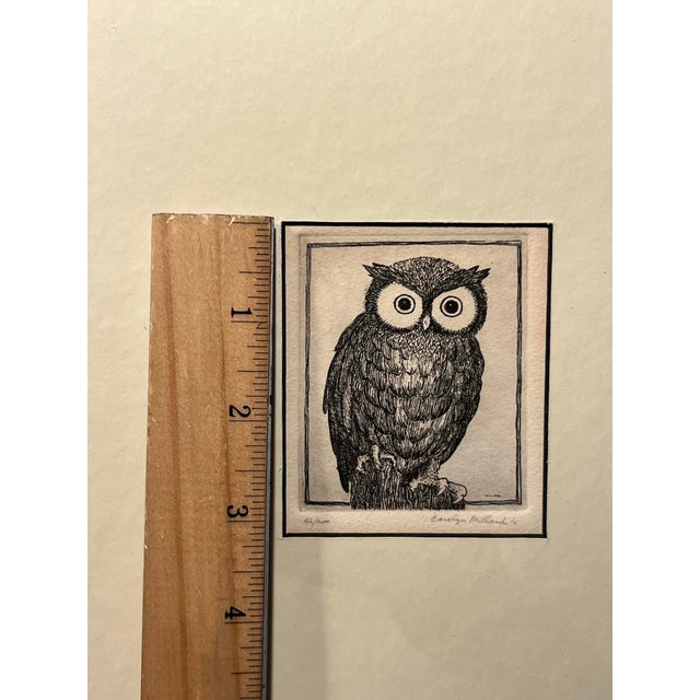 1960s Rare! Circa 1960s Carolyn Millard Limited Edition 42/200 Owl Etching Signed For Sale - Image 5 of 7