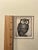 1960s Rare! Circa 1960s Carolyn Millard Limited Edition 42/200 Owl Etching Signed For Sale - Image 5 of 7