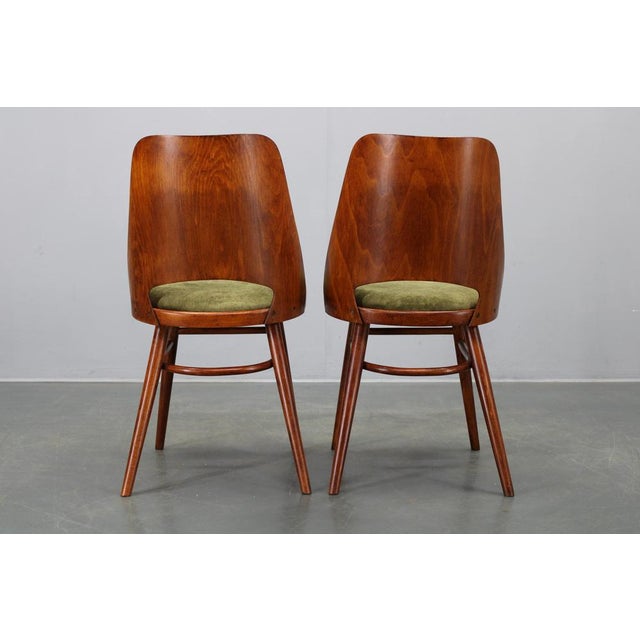 Gold Mid-Century Model Ton 514 Dining Chairs attributed to Osvald Haerdtl for Ton, 1960s, Set of 4 For Sale - Image 8 of 16