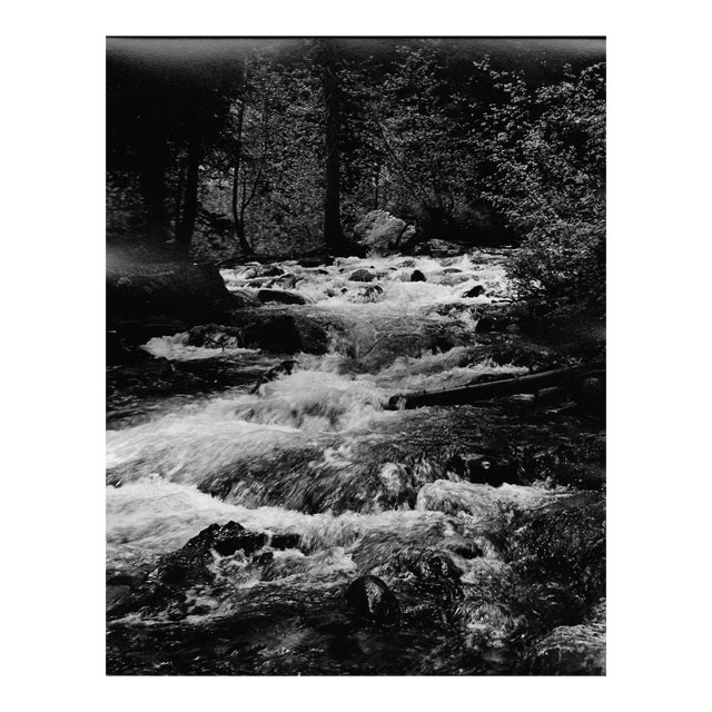 1969 Yellowstone National Park River Photograph by Don Ware For Sale