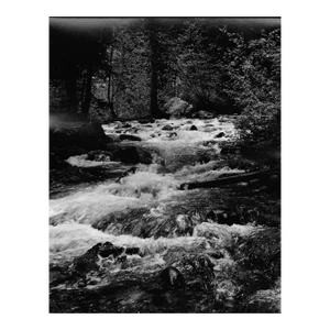 1969 Yellowstone National Park River Photograph by Don Ware