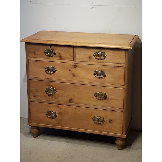 Antique Pine Chest of Drawers With Brass Handles Chairish