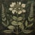 Grisaille Dark Green Flowers - Botanical Fine Art Print Dimensions: Print size (in): 18 x 18 (additional white borders for...