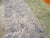 Mid 20th Century Galerie Shabab Collection Mid-20th Century Turkish Tulu Rug For Sale - Image 5 of 10