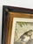 Vintage French Natural History Monkey Reproduction Prints Art & Gilded Wood Frames - A Pair For Sale - Image 9 of 15