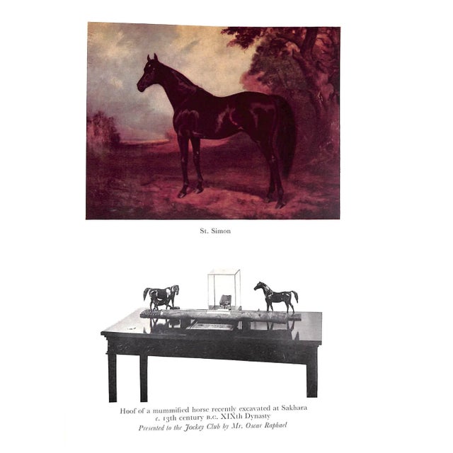 1950s "The Jockey Club" Book 1958 Mortimer, Roger For Sale - Image 5 of 12