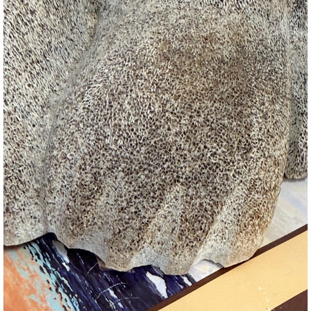 1970s Inuit Wilson Oozeva Carving of Polar Bear For Sale In Palm Springs - Image 6 of 18