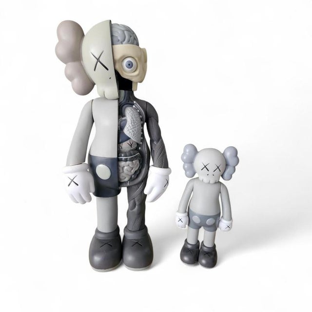 Dissected Companion by Og Kaws for Medicon, 2006 For Sale - Image 14 of 18