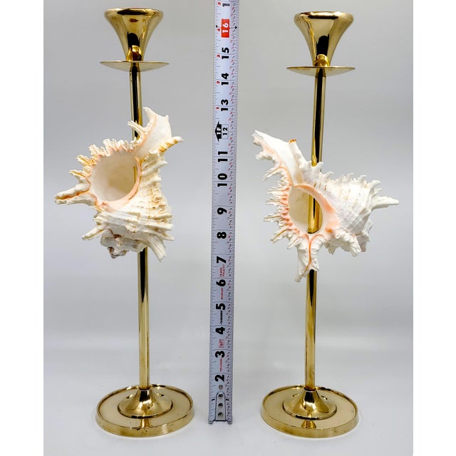 Christa's South Seashells Brass Candlesticks Shells Seashells Pair For Sale - Image 4 of 15