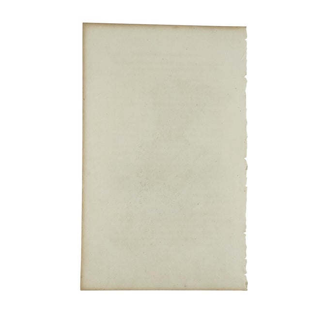 Antique Hand-Colored Engraving Tuch-Ee Cherokee Chief After Catlin C 1845 For Sale - Image 10 of 10