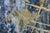 Lola Vitelli, L'Estasi dell'Oro, 2021, Mixed Media For Sale - Image 3 of 8
