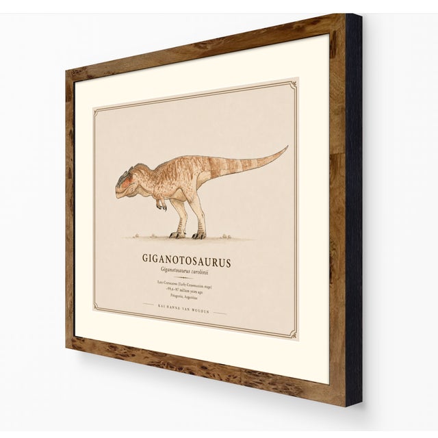 Paper Atelier Aria Lumae Kai Hanna Van Wouden Giganotosaurus Carolinii Original Scientific Watercolor Fine Art Cotton Rag Gallery Board Print 20 X 16 For Sale - Image 7 of 15