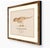 Paper Atelier Aria Lumae Kai Hanna Van Wouden Giganotosaurus Carolinii Original Scientific Watercolor Fine Art Cotton Rag Gallery Board Print 20 X 16 For Sale - Image 7 of 15
