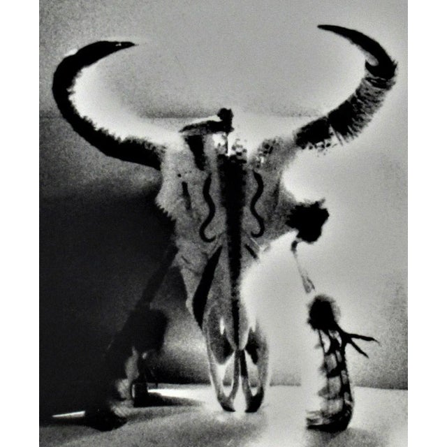 This photograph "Bull's Skull" c.1980 is an original gelatin silver print by famous German photographer and artist Michael...