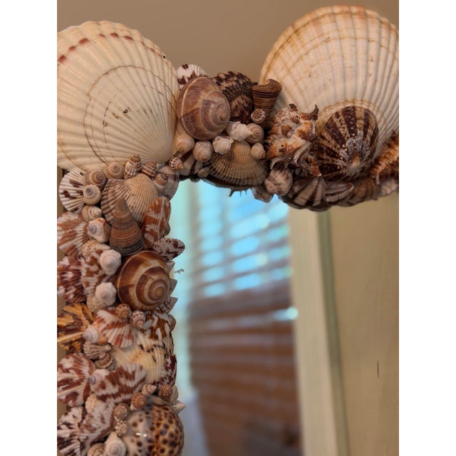 Shell Antique Mirror With Shells For Sale - Image 7 of 12