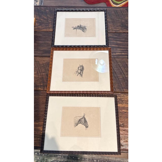 C.1800 Antique Etchings by Johannes Bemme, Set of 3 Horse Heads For Sale - Image 17 of 17