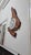 Lightning – One-of-a-Kind Handcrafted Natural Wood Wall Clock Sculpture For Sale - Image 6 of 15