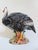 Ceramic Large Pair of Ceramic Guinea Hens or Fowl, Made in Italy For Sale - Image 7 of 10