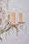 French Provincial Chandelier with Trimmings For Sale - Image 4 of 6