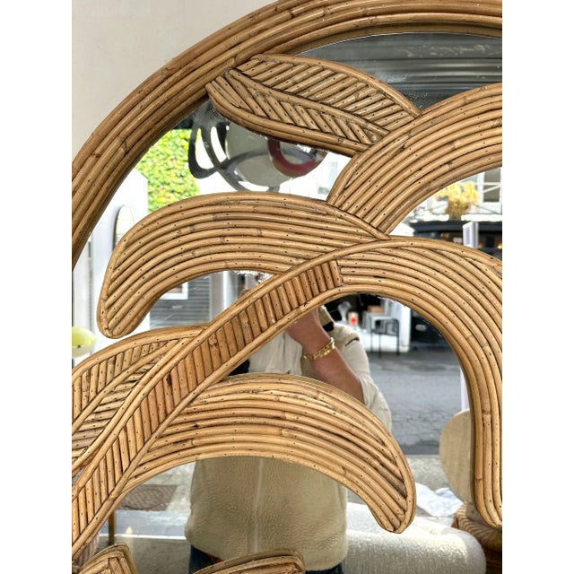 Rattan Palm Tree Mirror by Vivai Del Sud. Italy, 1970s For Sale - Image 11 of 11