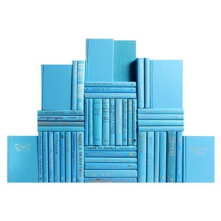 Decorative Books - Sky Book Wall - Set of 50 Blue Books For Sale