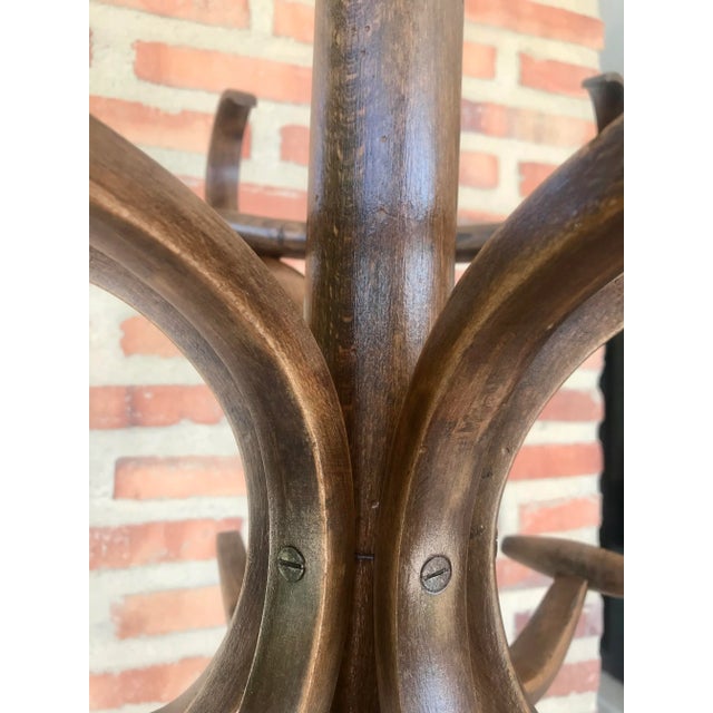 Mid-Century Art Nouveau Style Coat Rack in the Style of Thonet For Sale - Image 12 of 17