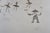 Surrealism 1960s Salvador Dali Le Cirque Chinois For Sale - Image 3 of 4