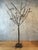 1990s Jan Barboglio Forged Iron Tree Floor Candelabra 7-Light Candle Holder Signed 47" For Sale - Image 9 of 16