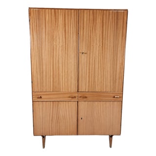 Vintage Wardrobe by Francisek Mezulanik, 1960s For Sale