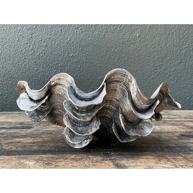 Vintage Metal Dipped Ruffle Clam Shell For Sale - Image 11 of 12