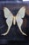 Framed female comet moth (Argema mittrei) specimen displayed in a black wood shadow box with glass front and back,...