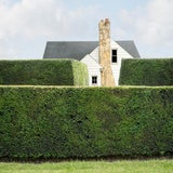 "Privacy #5" Contemporary House Photograph Landscape Digital Collage by Carol Erb For Sale