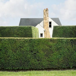 "Privacy #5" Contemporary House Photograph Landscape Digital Collage by Carol Erb For Sale