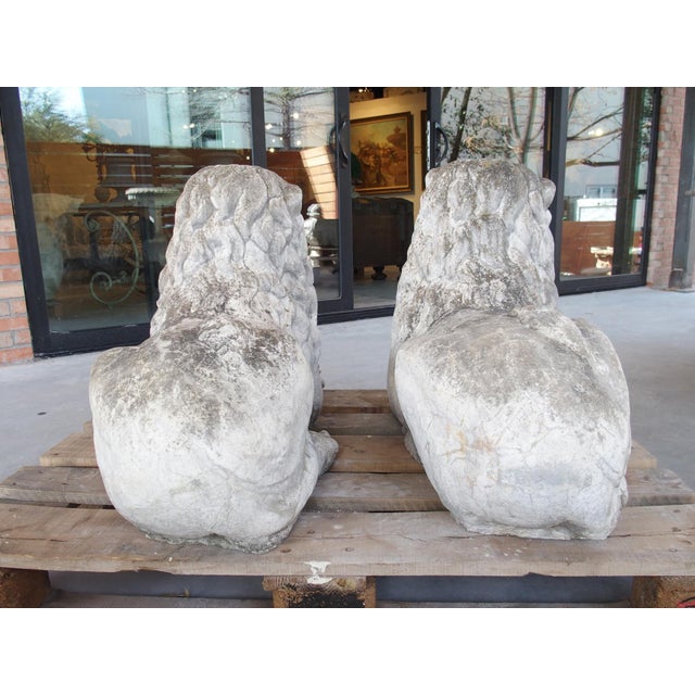 These regal lions, both depicted in a recumbent position with one forepaw crossed over the other, would make wonderful...