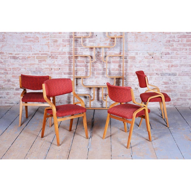 Mid-Century Czech Chair in Maple attributed to Ludvik Volak for Drevopodnik Holesov, 1960s For Sale - Image 6 of 18