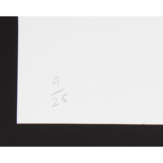 1982 “Furniture Dense Point” Serigraph Print by Roger Benedetti For Sale - Image 4 of 8