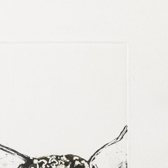 Henrique Do Vale, Ox, 1994, Screenprint For Sale - Image 4 of 6