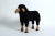 A very decorative black vintage sheep, designed by Hanns Peter Krafft and manufactured by Krafftmeier, Germany. Probably...