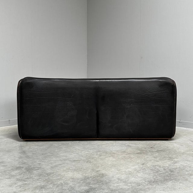 1970s DS-47 Sofa in Buffalo Leather from de Sede, Switzerland, 1970s For Sale - Image 5 of 11