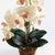 Contemporary Phalaenopsis Orchid Drop-In 23" For Sale - Image 3 of 5