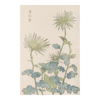 Two Wildflowers by Hasegawa, Vintage Japanese Botanical Art Print, 24" X 36" For Sale