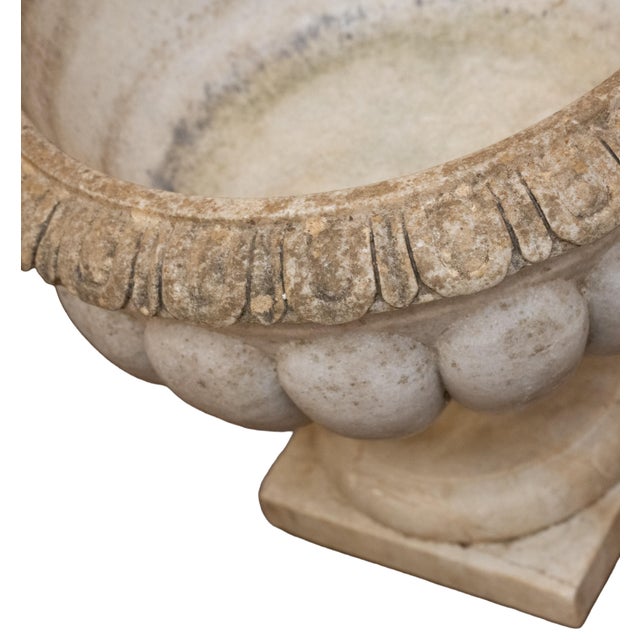Italian Neo-Classical Wine Cooler or Standing Urn Centerpiece of Carved Marble For Sale - Image 10 of 12