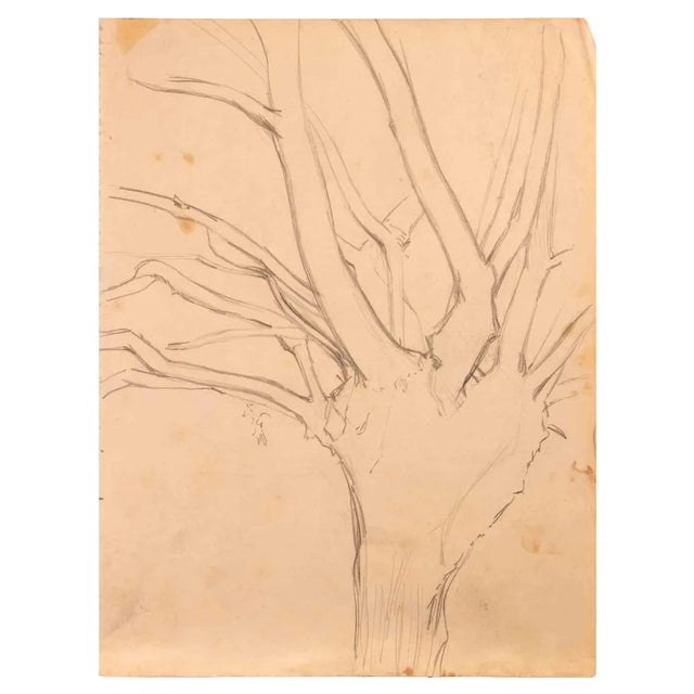 Reynold Arnould, Tree, 1970s, Drawing For Sale