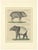 Bertuch, Malayan Tapir & Collared Peccary, 1815, Engraving For Sale - Image 9 of 9